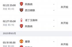 雷速体育app-阿森纳中场大将受伤，队内伤病情况恶化