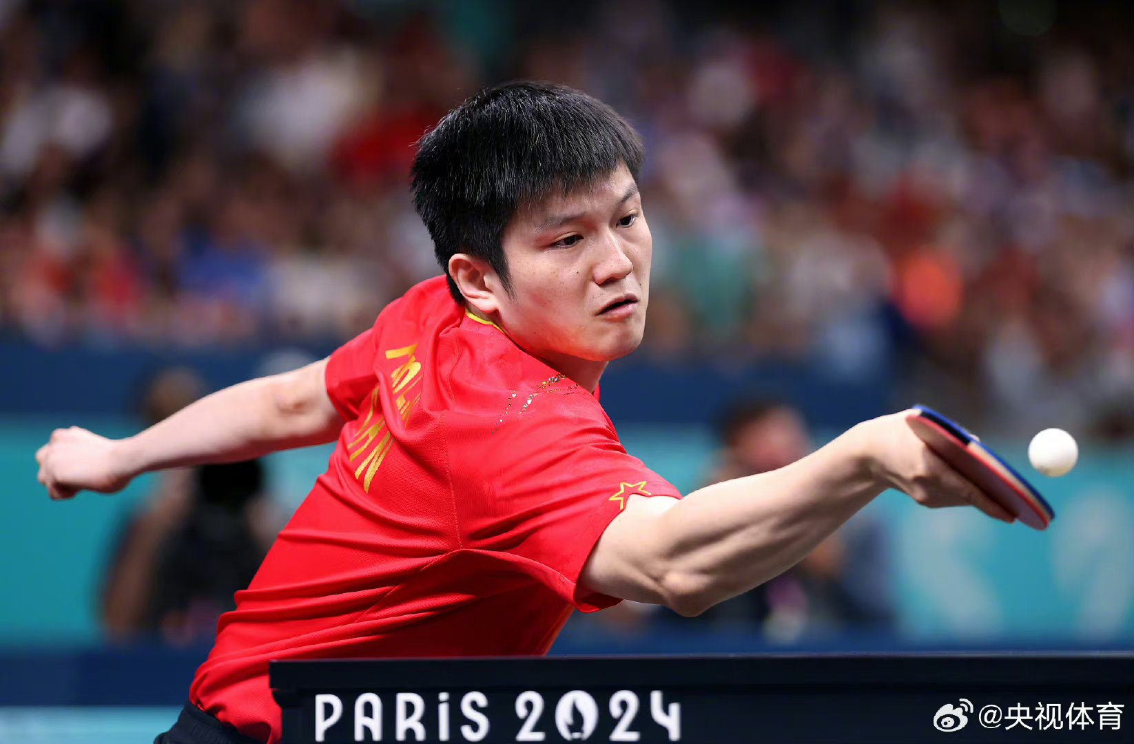 关于奥地利乒乓球队绝杀中国乒乓球队,樊振东高光表现的信息 关于奥地利乒乓球队绝杀中国乒乓球队,樊振东高光表现的信息