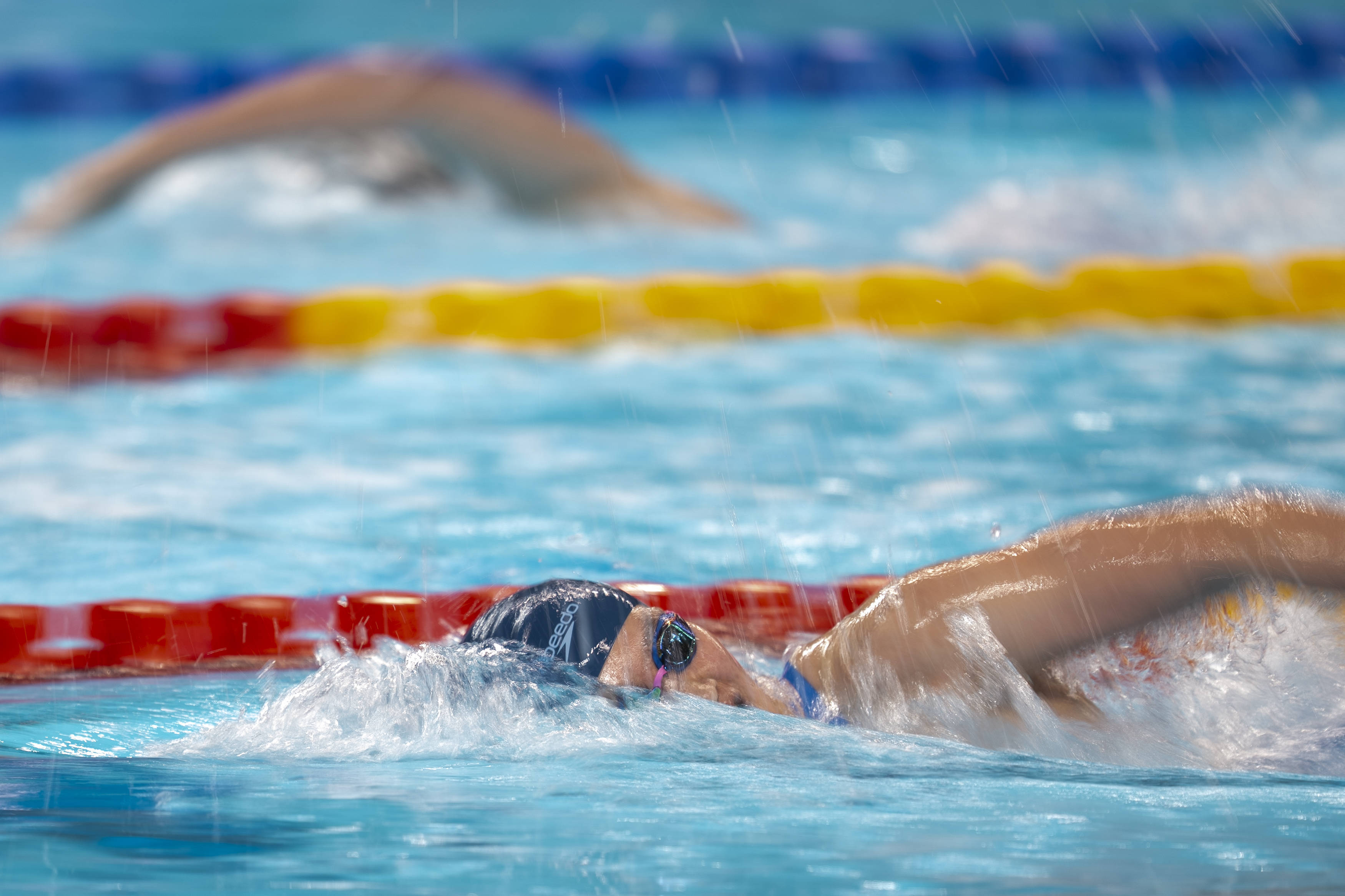 关于场面火爆!游泳观众席沸腾不已的信息 关于场面火爆!游泳观众席沸腾不已的信息
